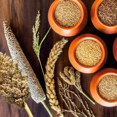 Millets Exporter